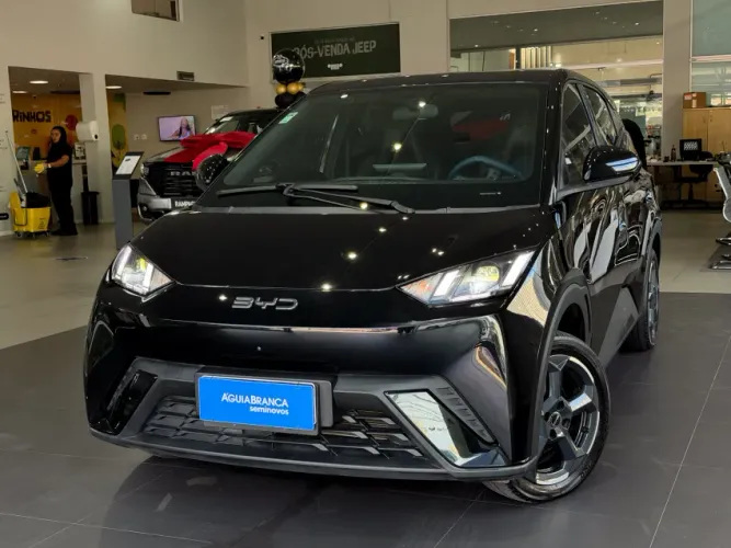BYD Dolphin Mini (Elétrico) 2025