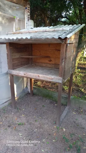 Viveiro para pintos 