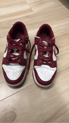 Nike Dunk low Redwood