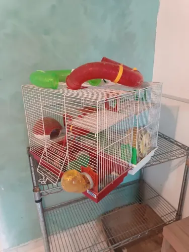 Gaiola de 3 andares para hamster (2 unidades) 