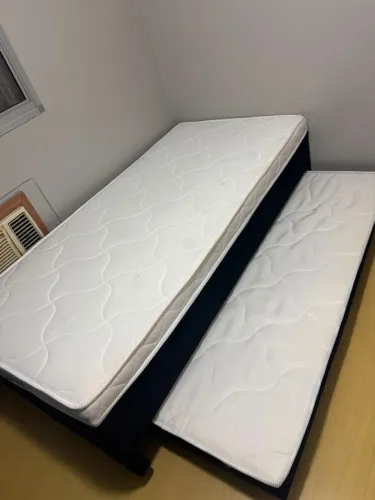 Cama 650,00