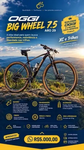 BICICLETA OGGI BIG WHEEL 7.5 