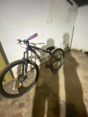 Bicicleta