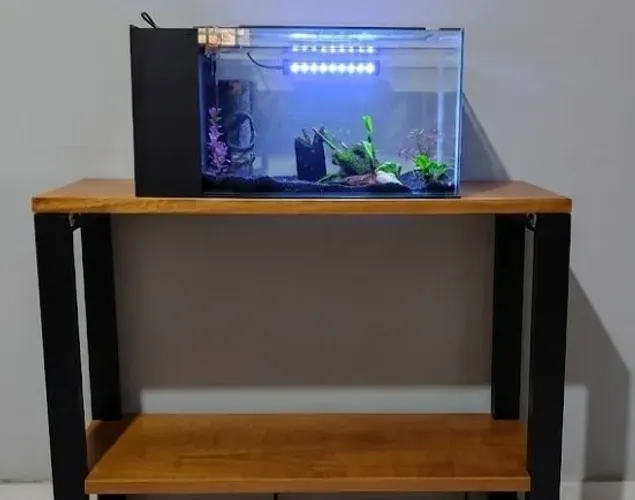 Aquário 60 litros 