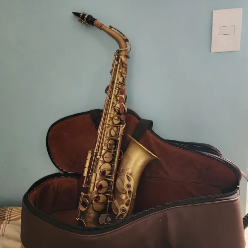 Saxofone Alto Weril Master- Instrumento Musical