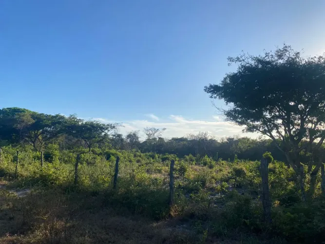 Recebo carro terreno taiba local super tranquilo medindo 60 metros de frente e 90 fundos. 