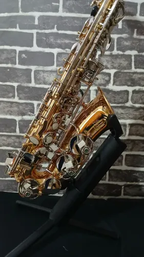 Sax alto  novo acompnha caser
