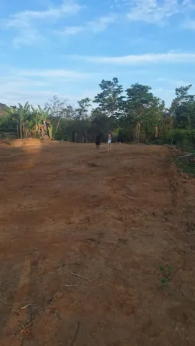 Terreno plano 3.000m2 em Tinguá - Aceito troca por Carro
