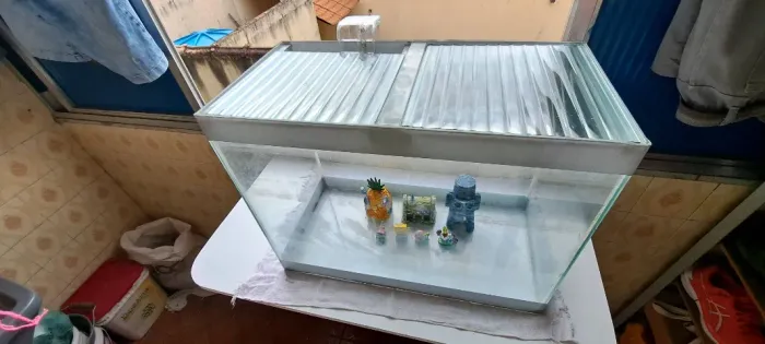 Aquário para peixes