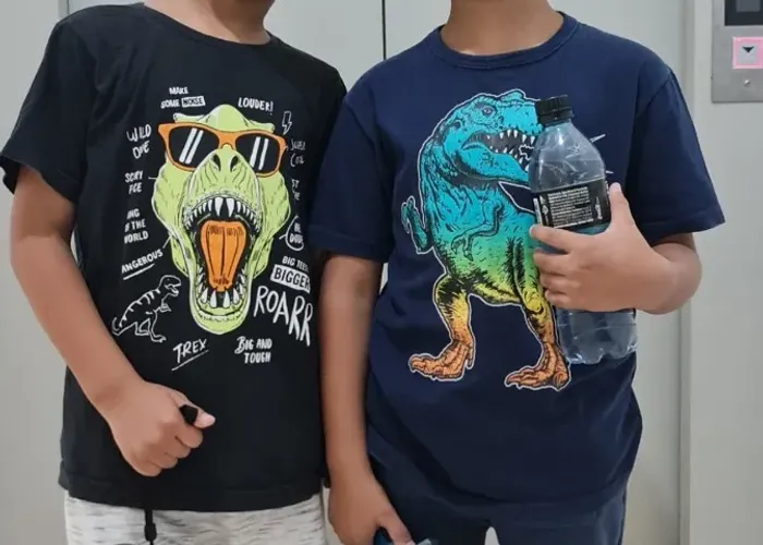 Camisetas estampada dinossauro