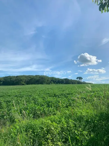 FAZENDA DE PLANTIO - ÁREA 1.903.200m² (39 ALQUEIRES) - ÀS MARGENS DO RIO CAPIVARI - JANDAI