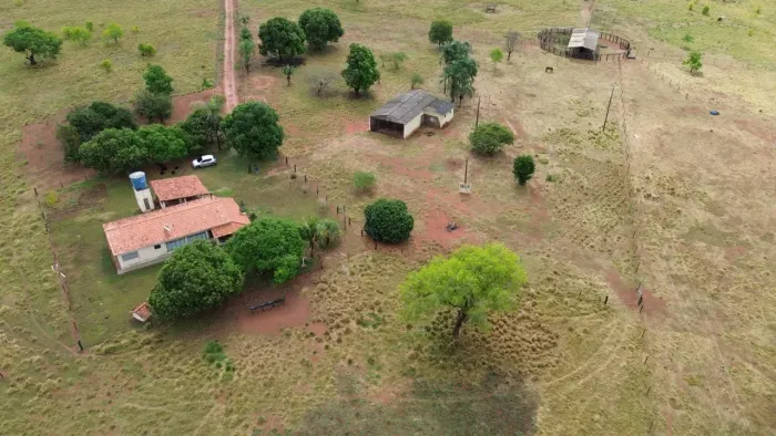 CÓD 568- Fazenda a venda de 58,2 hectares em Rochedo / MS