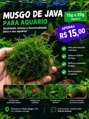 Aquarismo