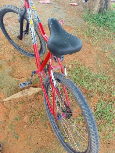 Bicicleta