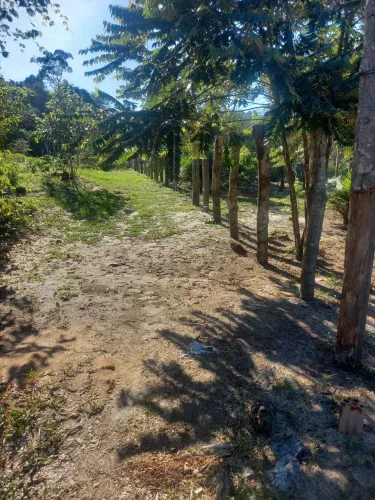 Vendo Sitio no Brasileirinho Km 10 , 1.5 de ramal dois terreno 25 por 125 , um do lado do