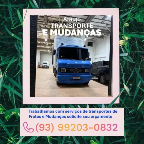 CAMINHÃO DE MUDANÇAS 