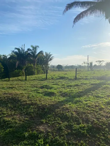 Fazenda de 300 hectares (60 alqueires) a venda em Sao Felix do Xingu PA