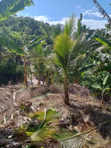 Lote 300 m² em Solidão - Iconha/ES | Asfalto e Natureza