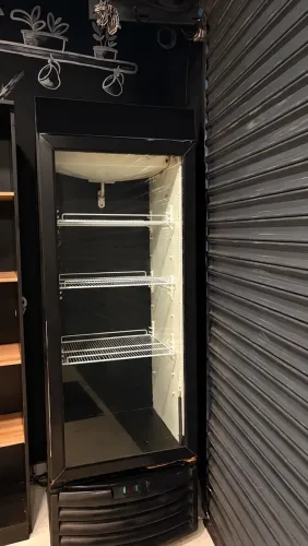 Freezer vertical