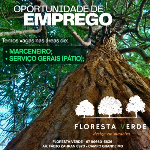 Vaga para gerais de madeireira e marceneiro