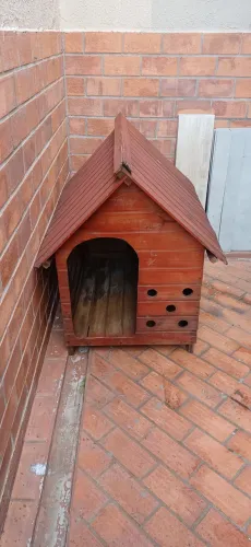 Casinha Cachorro