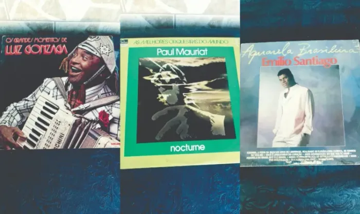 Vendo 11 Discos de Vinil