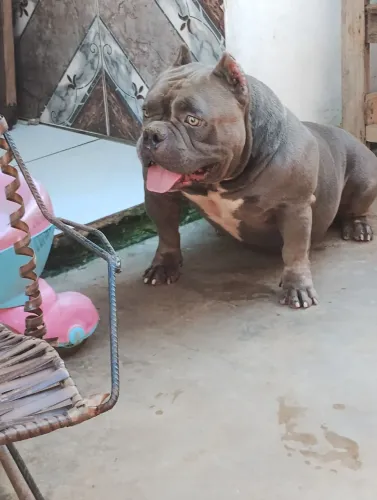 Disponível para cruzar