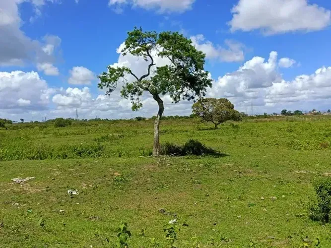 ÁREA 64.070,00 M² ESTRADA DA TOCAIA DONANA