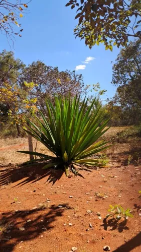 SÍTIO, VALE DO SOL