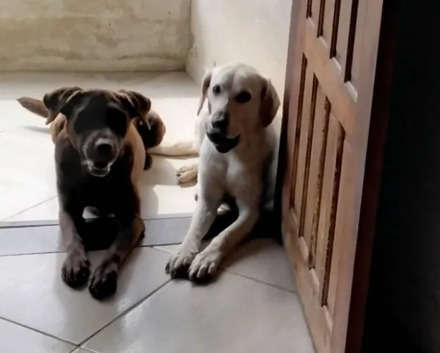PROUCURO ALUGUEL DE CASA NAS VARGENS GRANDE OU PEQUENA RJ