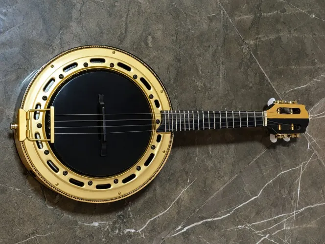 Banjo luthier