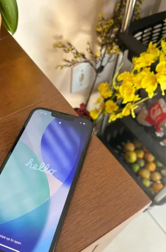 OPORTUNIDADE: iPhone 13 128GB Preto - Bateria 100% + Carregador (Pronto p/ Usar)