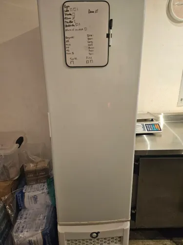 Freezer Vertical Conservador Tripla Ação 284L Branca Porta Cega 220v 2 prateleiras extras