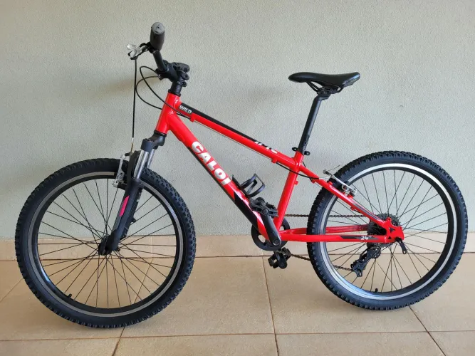 Caloi wild aro 24