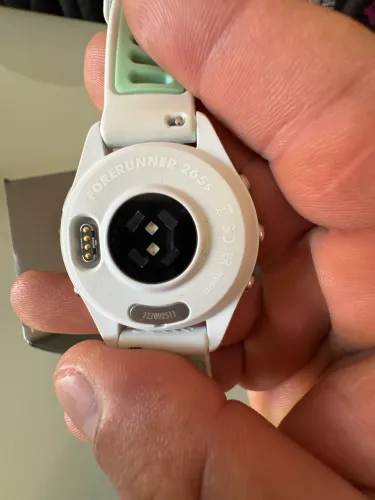 Garmin 265S