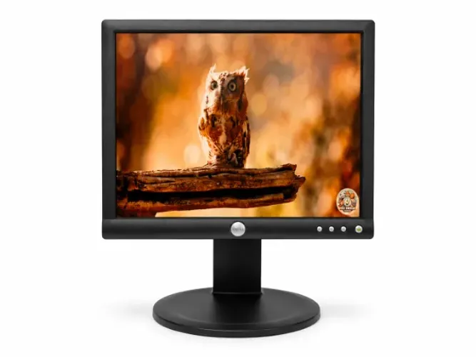 Monitor Dell 17 Polegadas E173FPc LCD VGA