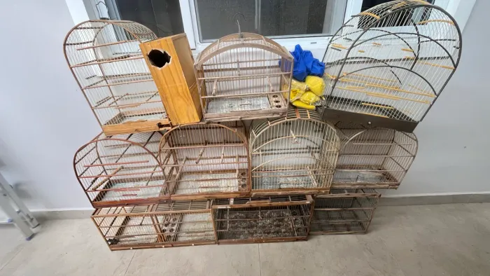 8 gaiolas + Acessórios 