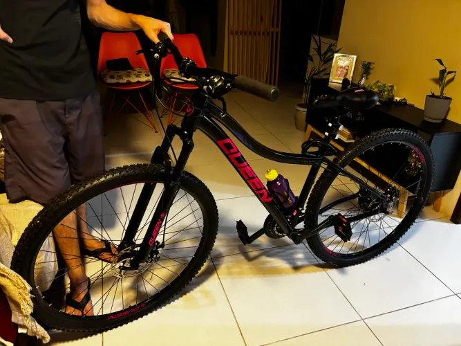 Bike aro 29