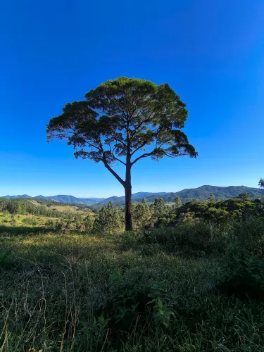Área rural com lindo por do sol.