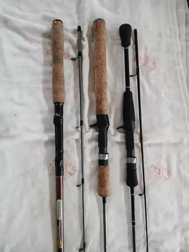 Varas de pesca 