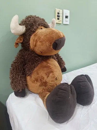 Búfalo de pelúcia
