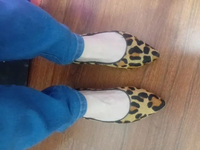 Sapato Onça 35 