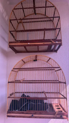 VENDO 2 GAIOLAS