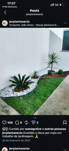 Paisagismo e jardinagem