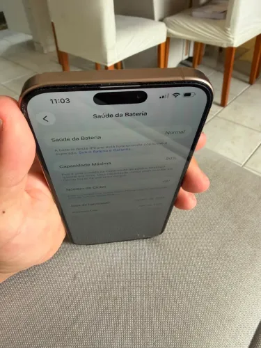 iPhone 16 Pro Max 256GB - Impecável, Sem Marcas
