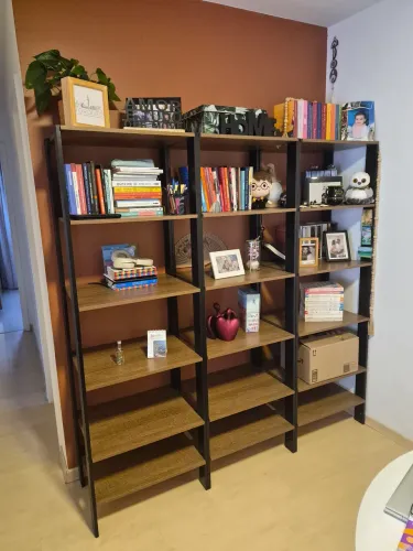 Estante de livros/decorativa