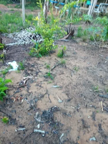 Vendo terreno em Paracatuba 