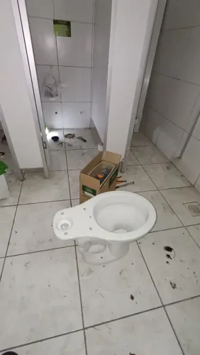 Manutenção e troca de vasos sanitários, 