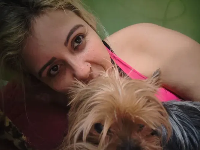 Creche de cães da luh