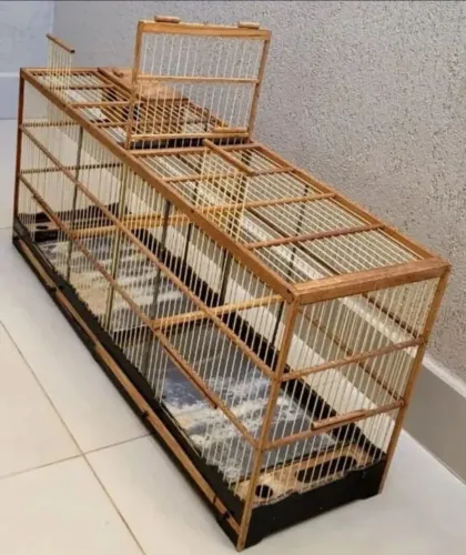 Gaiola voadeira ideal para reprodução pássaros em geral com repartição.